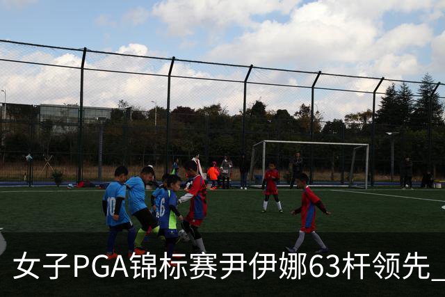 女子PGA锦标赛尹伊娜63杆领先 殷若宁张维维T27
