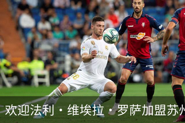 欢迎法利·维埃拉·罗萨加盟苏州东吴足球俱乐部
